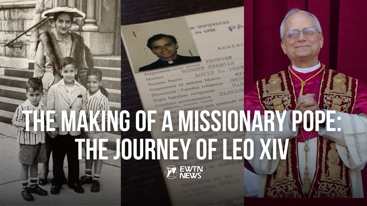  The Making of a Missionary Pope: The Journey of Leo XIV