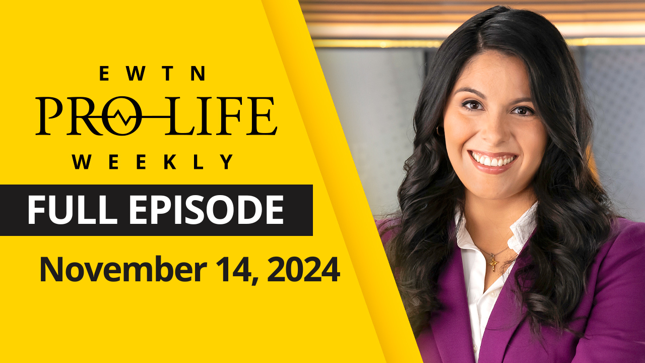   EWTN Pro-Life Weekly | Full EPISODE | Thursday, November 14, 2024