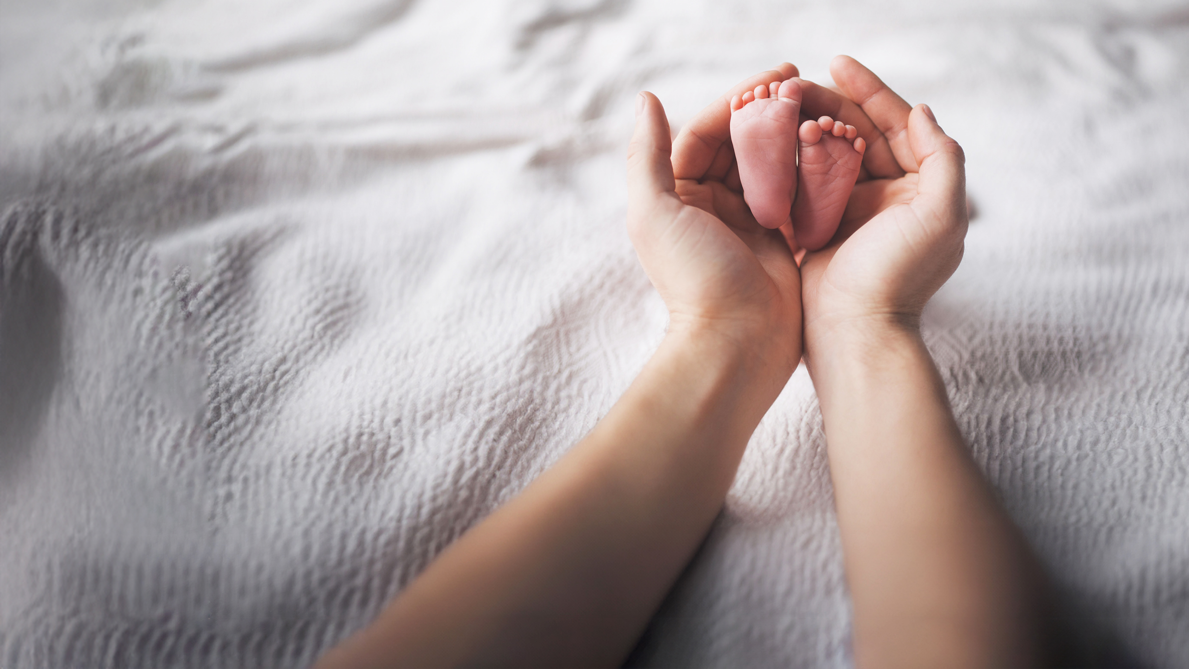 Healing the Culture: a Pro-Life Philosophy