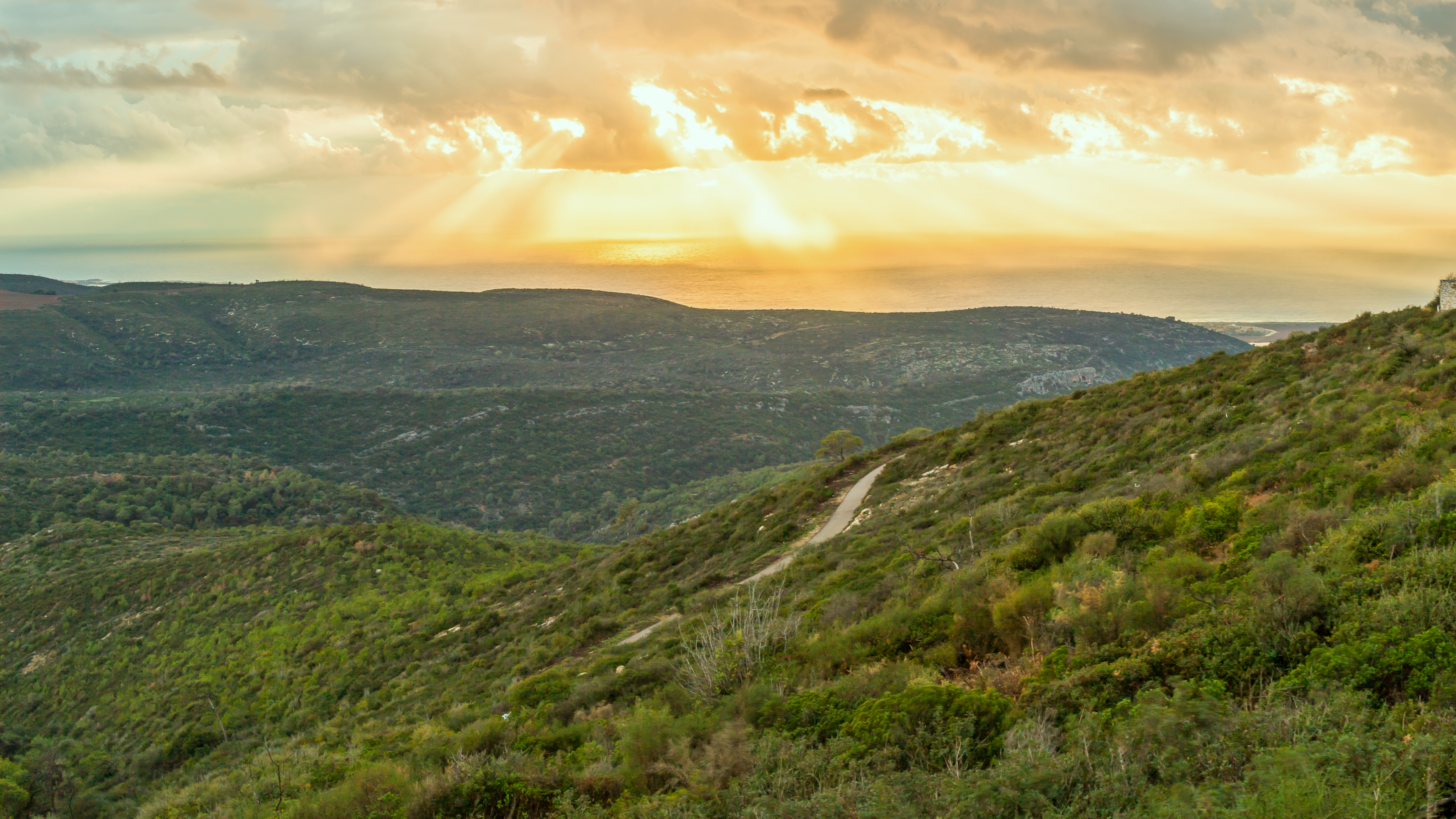A Journey to Mount Carmel
