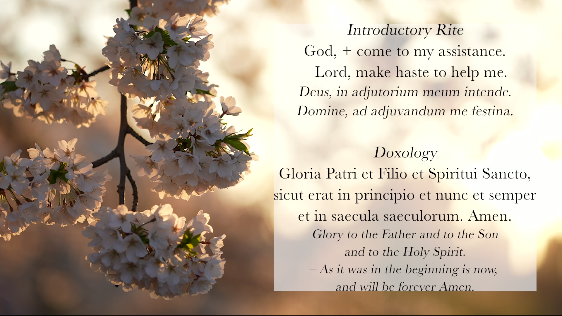 Sing the Hours 07/16/2025 LAUDS, WEDNESDAY MORNING PRAYER