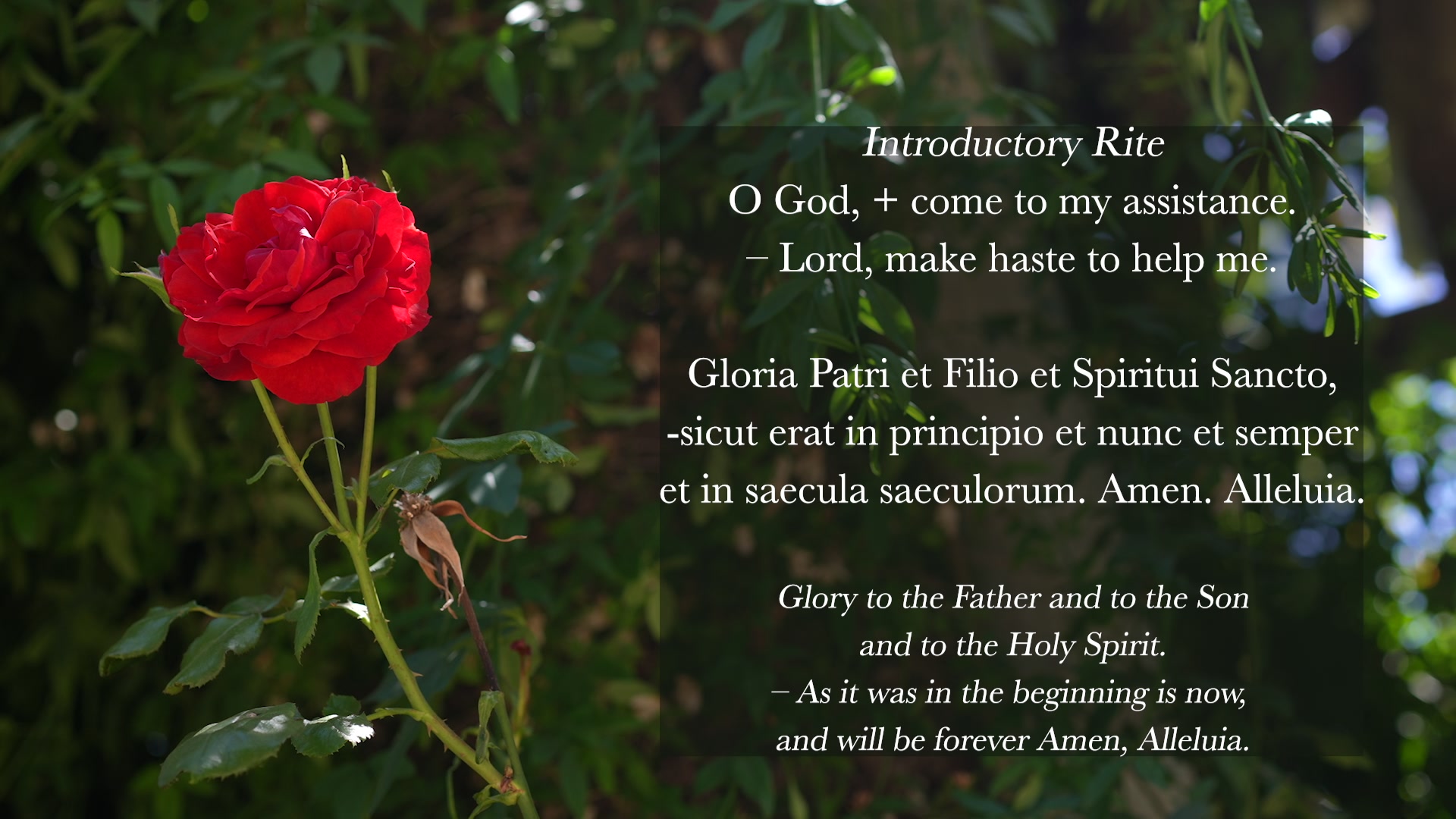 Sing the Hours 12/06/2025 Lauds, Saturday Morning Prayer