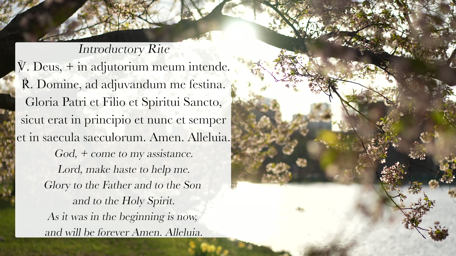 Sing the Hours 12/10/2025 Lauds, Wednesday Morning Prayer