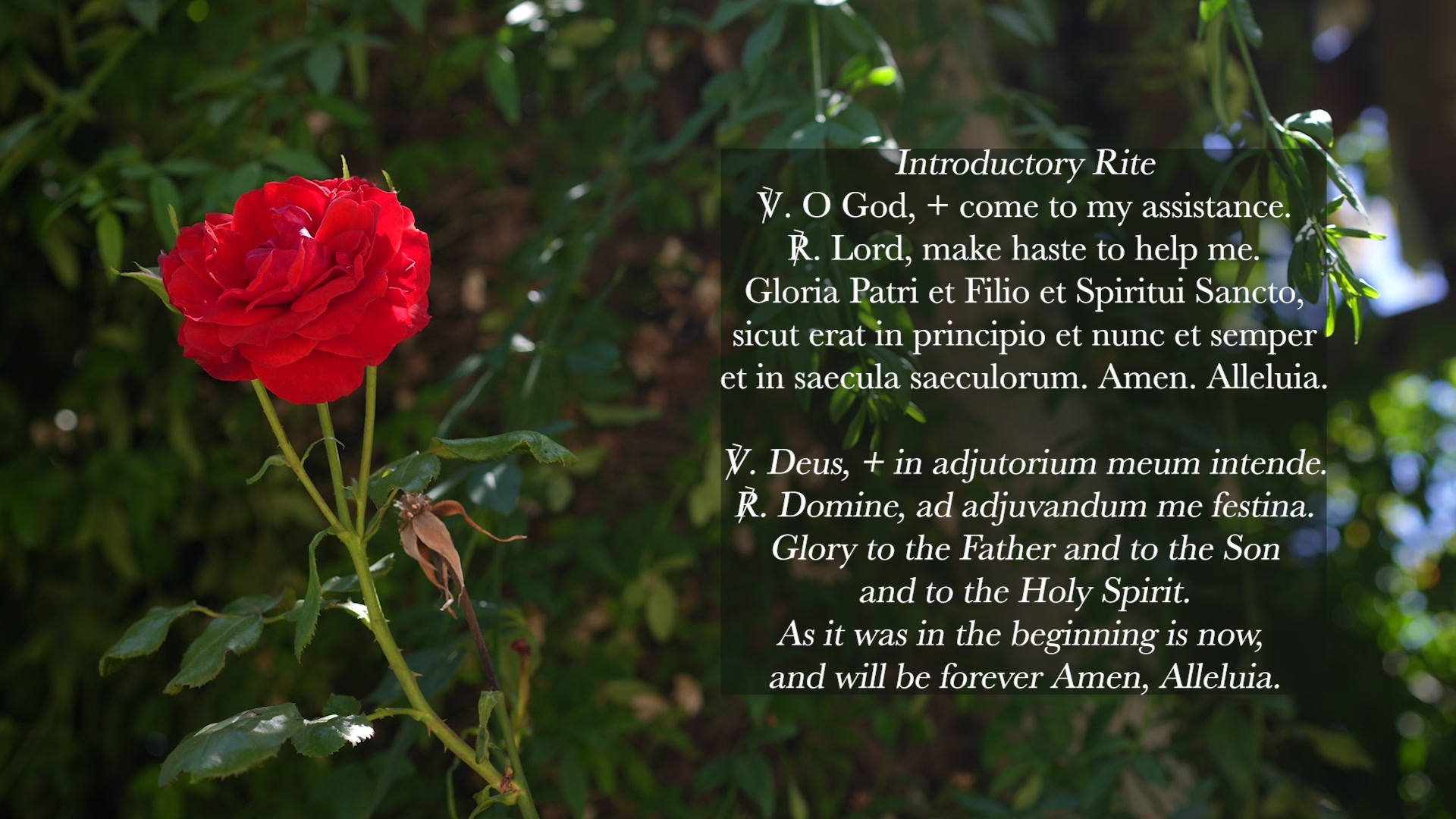 Sing the Hours 01/17/2026 Lauds, Saturday Morning Prayer