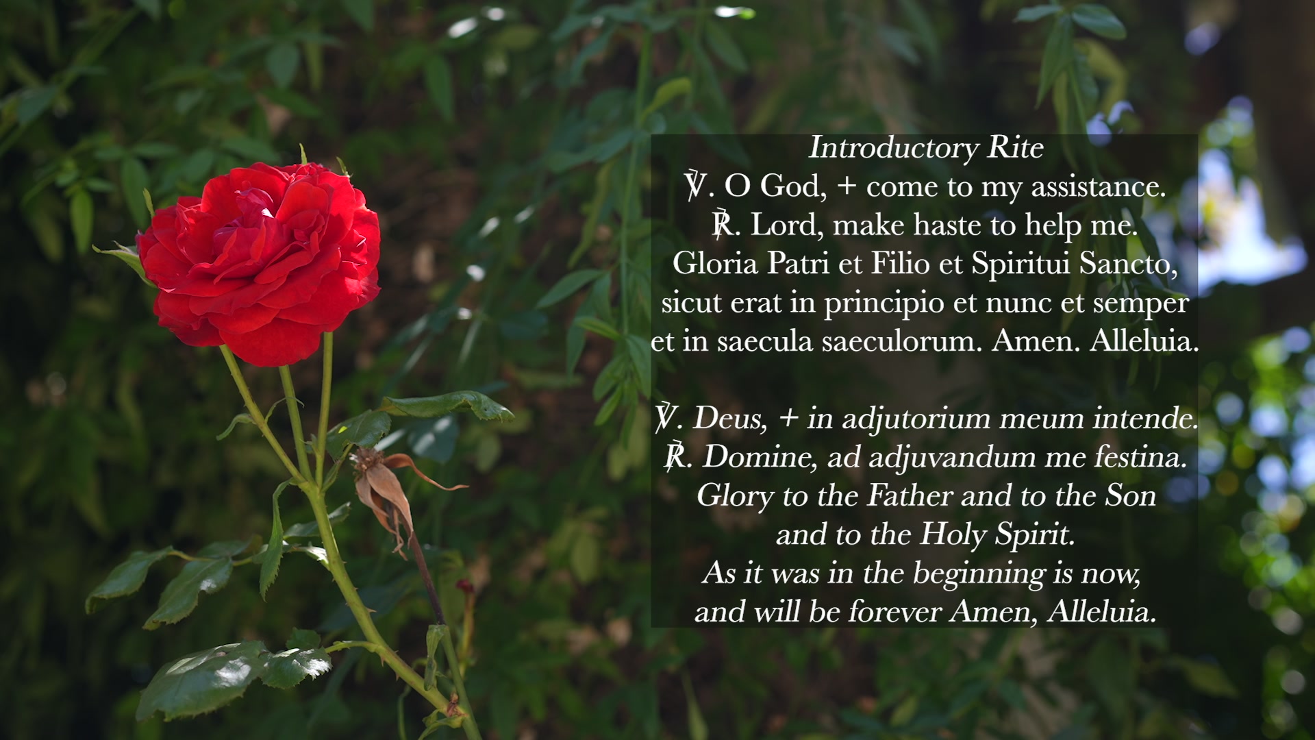 Sing the Hours 02/14/2026 Lauds, Saturday Morning Prayer