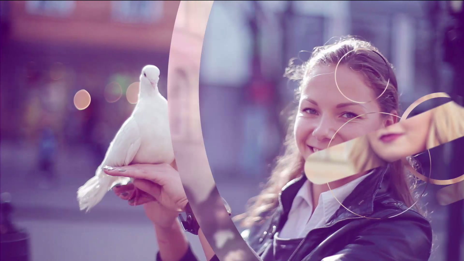 Women of Grace Apologetics With John Martignoni, Pt. 2