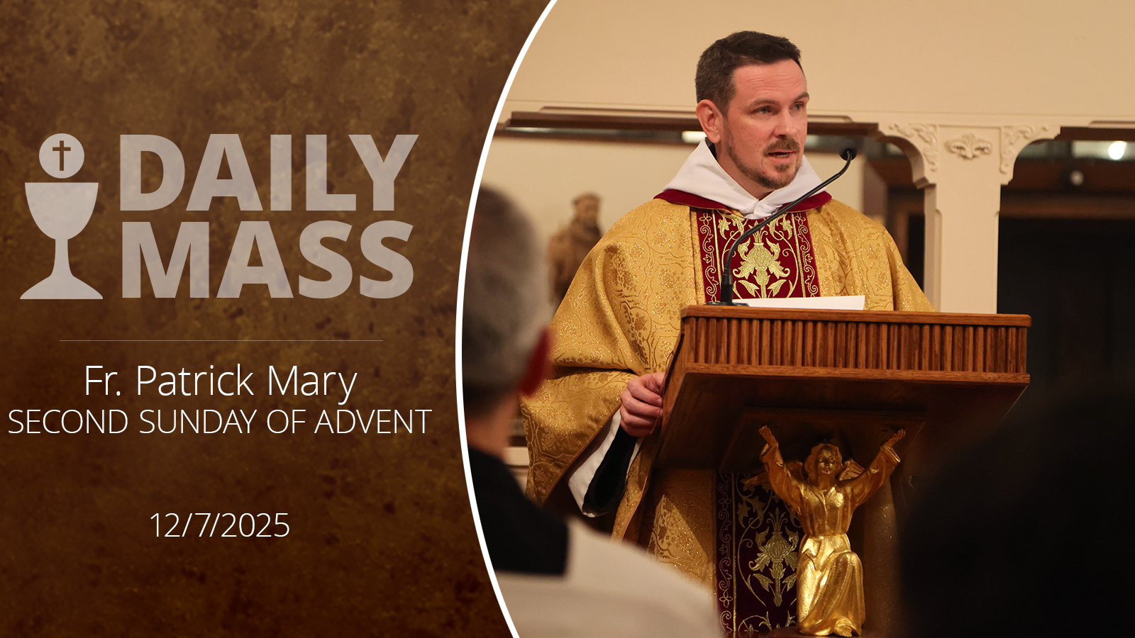 Readings, Homily and Daily Mass Daily Mass