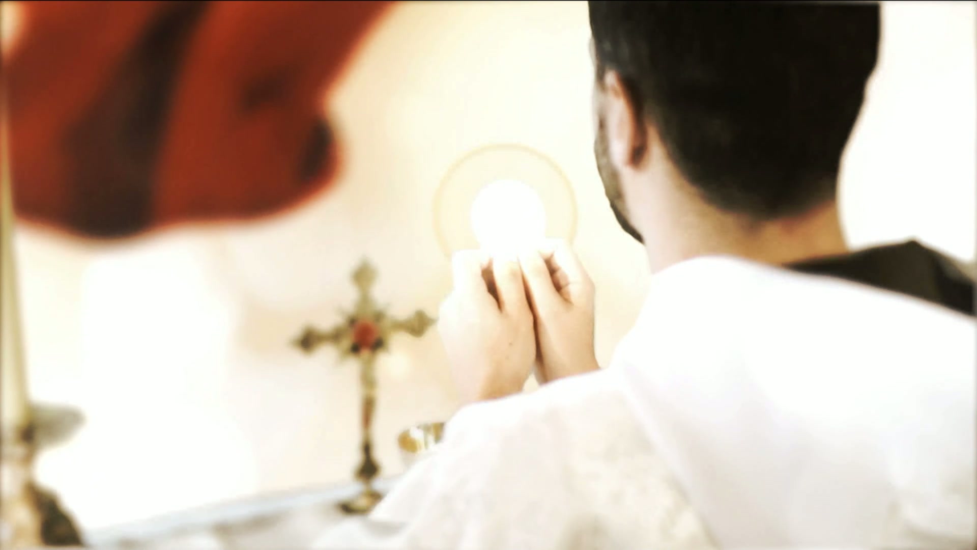 Readings, Homily and Daily Mass Daily Mass