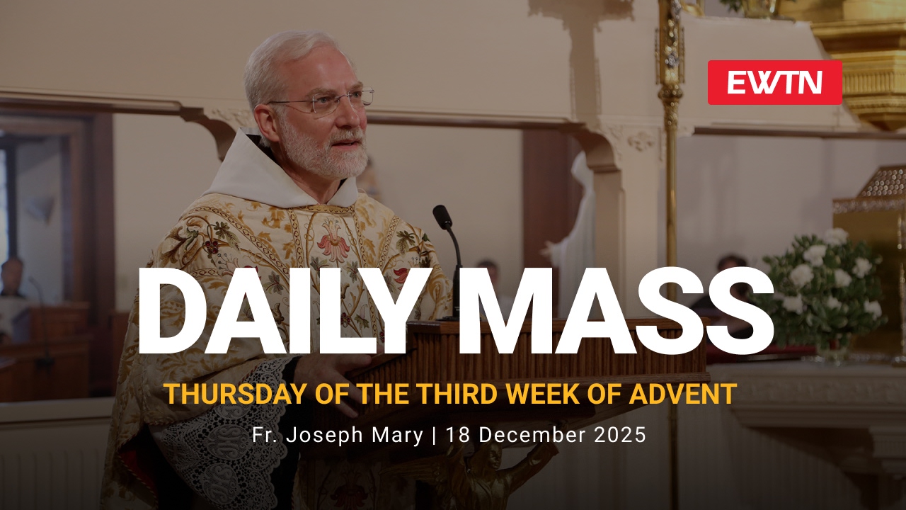 Readings, Homily and Daily Mass Daily Mass