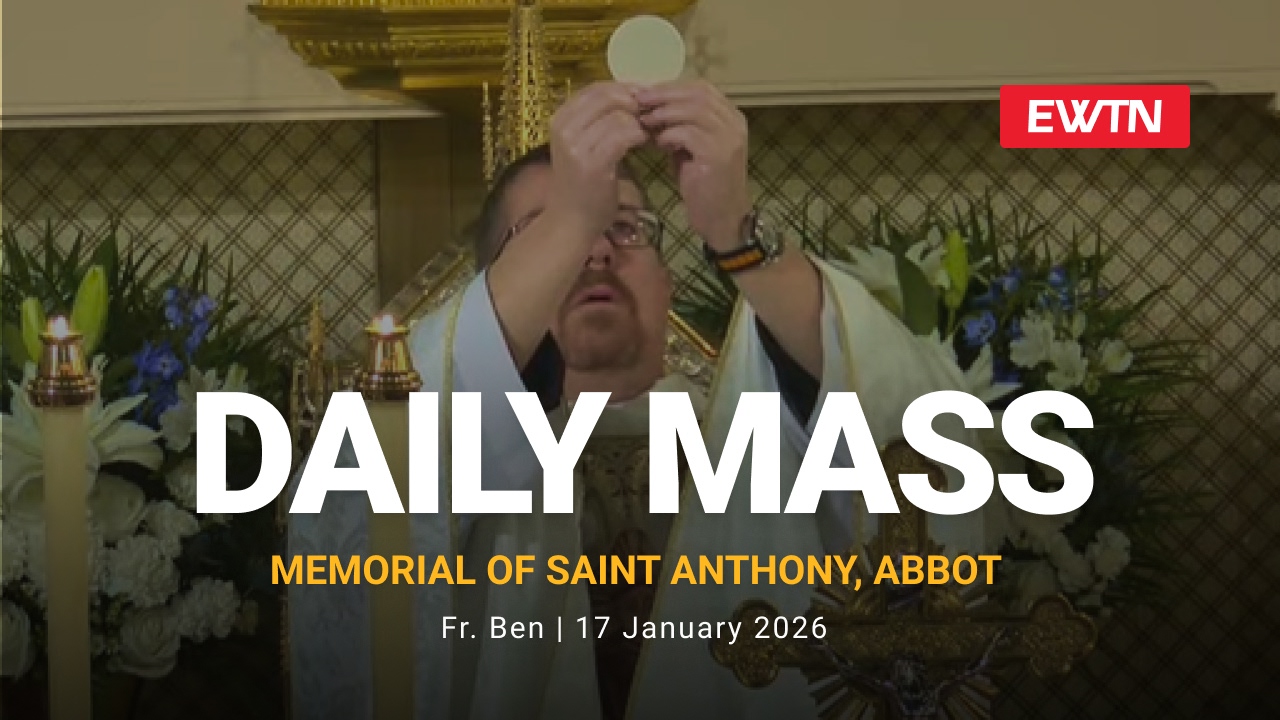 Readings, Homily and Daily Mass Daily Mass