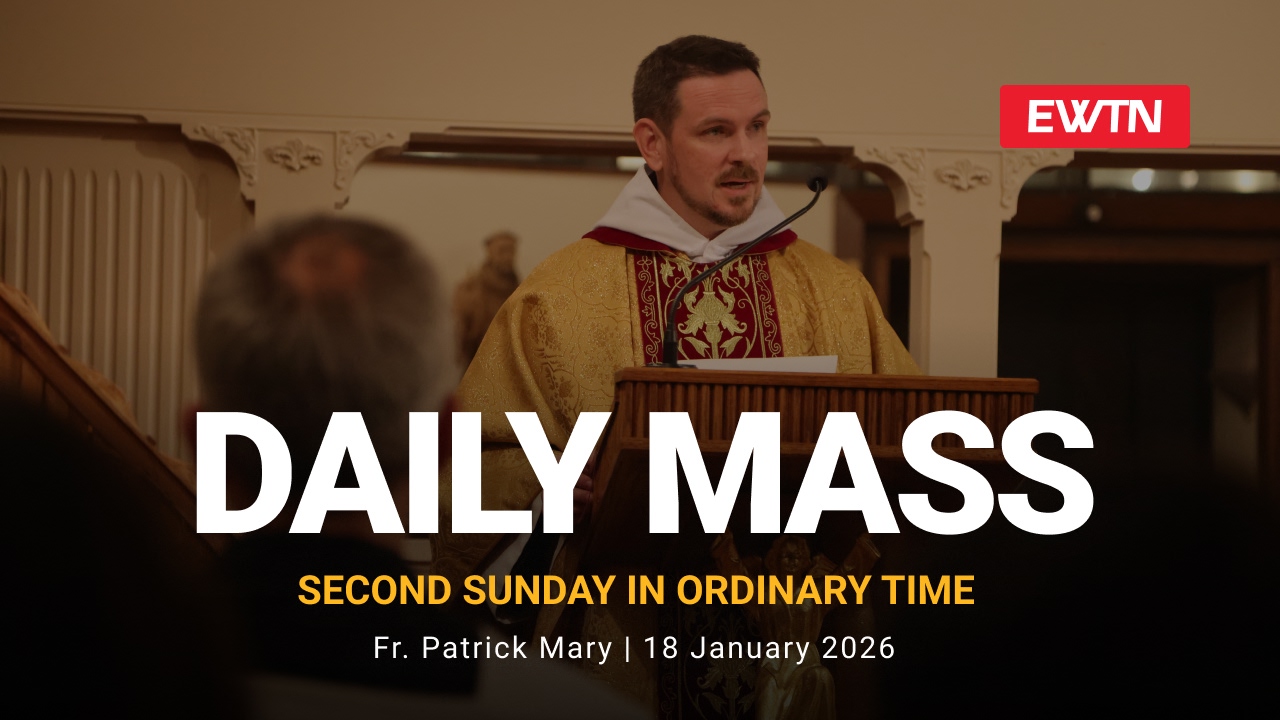 Readings, Homily and Daily Mass Daily Mass