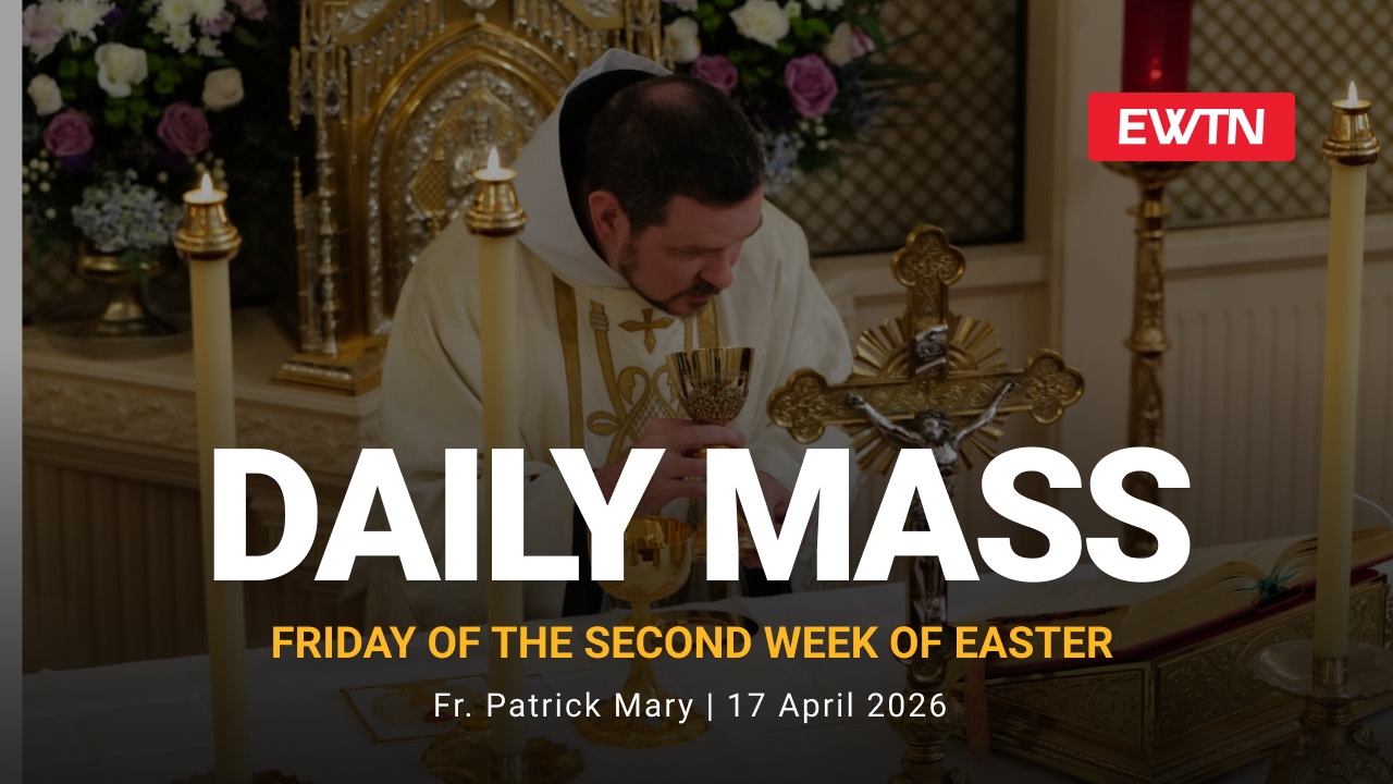 Readings, Homily and Daily Mass Daily Mass
