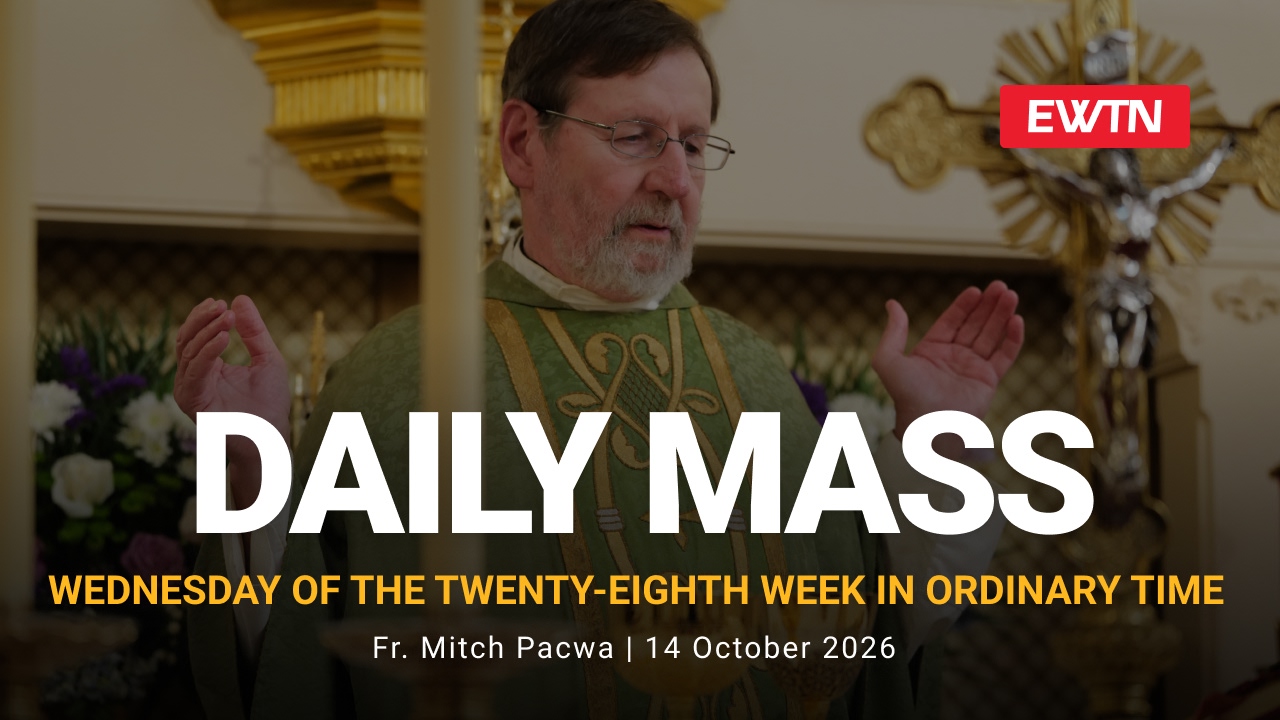 Readings, Homily and Daily Mass Daily Mass