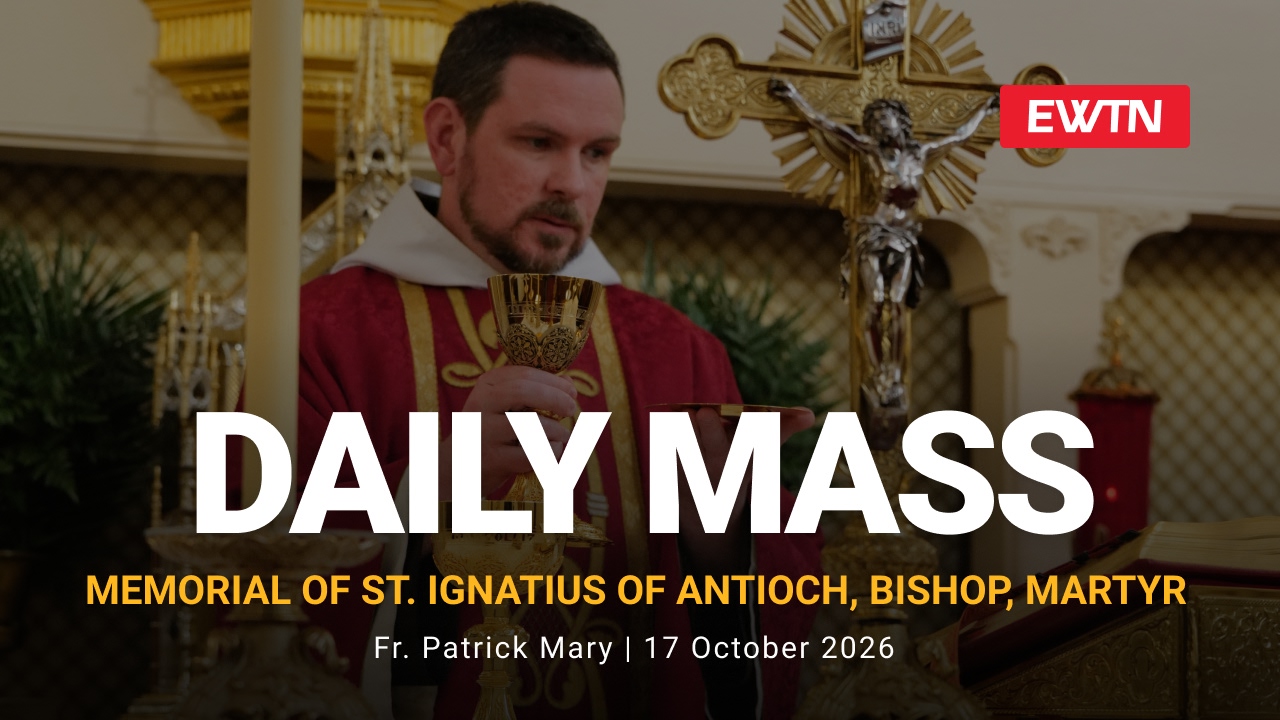 Readings, Homily and Daily Mass Daily Mass