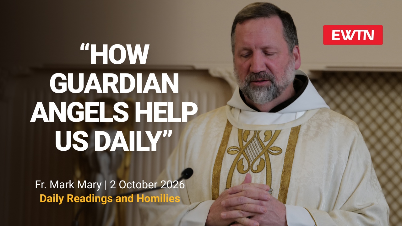 Readings, Homily and Daily Mass Readings and Homily: Fr. Mark
