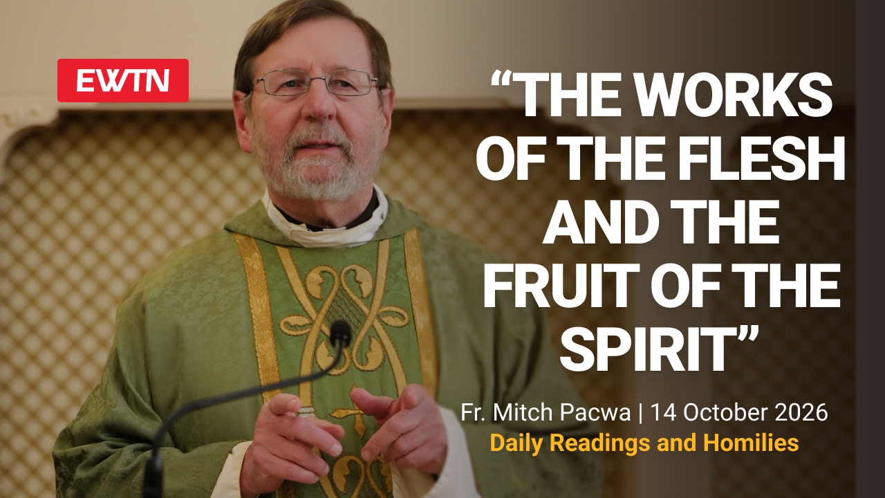 Readings, Homily and Daily Mass Readings and Homily: Fr. Mitch