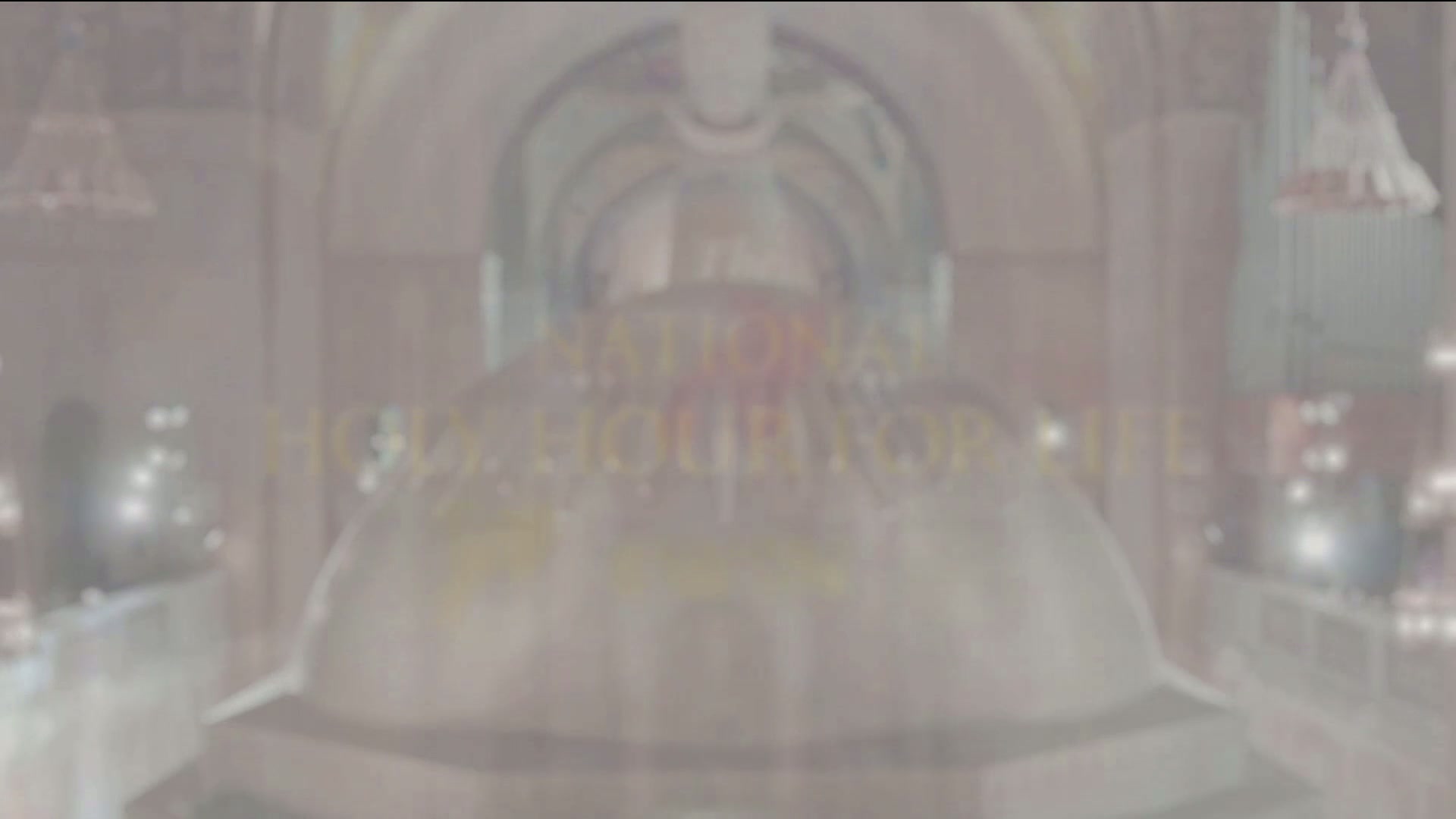  La hora santa nacional por la vida