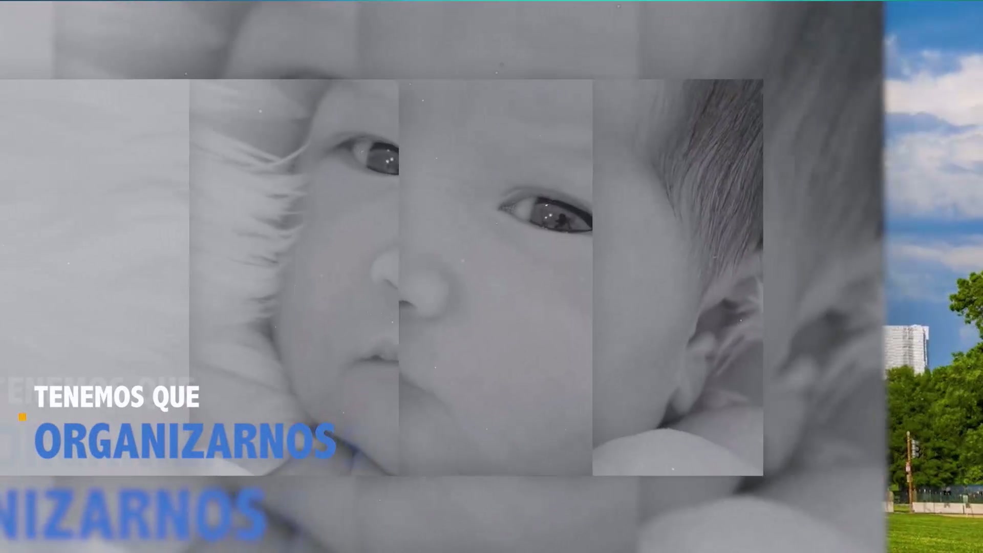 Informe provida Bridget Hylak, testimonio provida