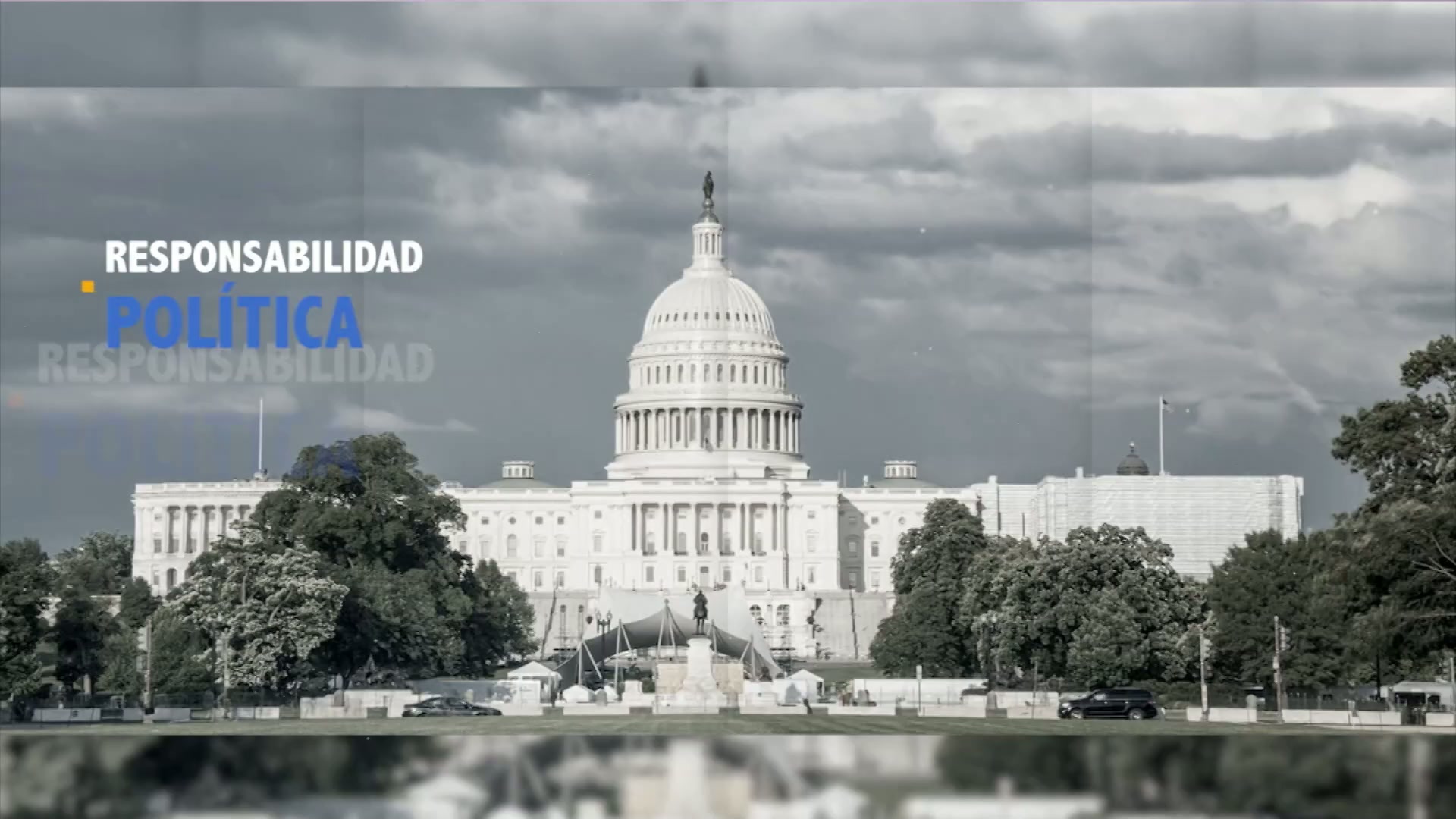 Informe provida Quien decide es Dios