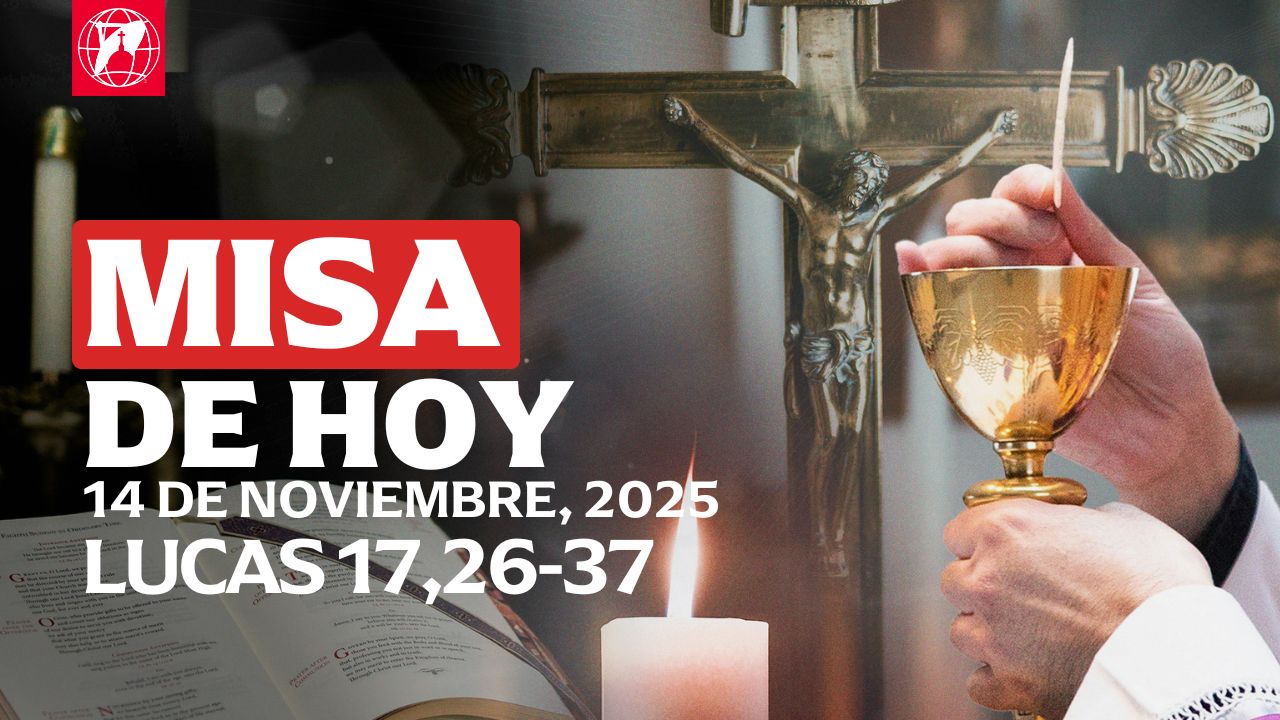 Lecturas, homilía y Misa diaria Misa diaria