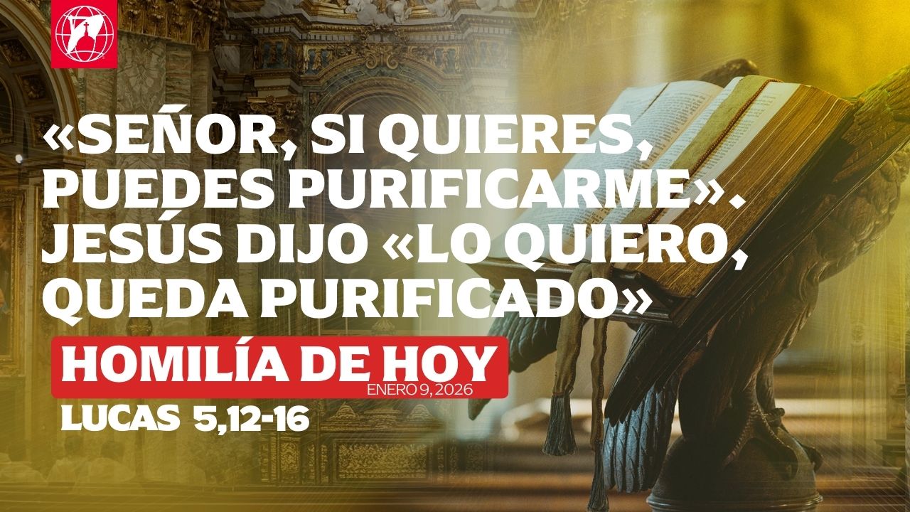 Lecturas, homilía y Misa diaria Lecturas y homilía: P. John Maria Devaney, OP