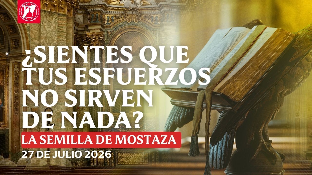 Lecturas, homilía y Misa diaria Lecturas y homilía: P. Mark