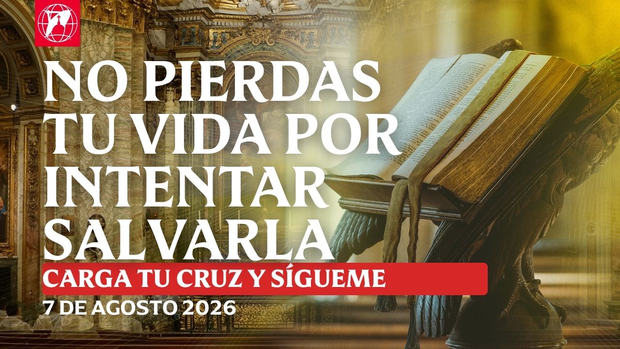 Lecturas, homilía y Misa diaria Lecturas y homilía: P. Andrew Hofer