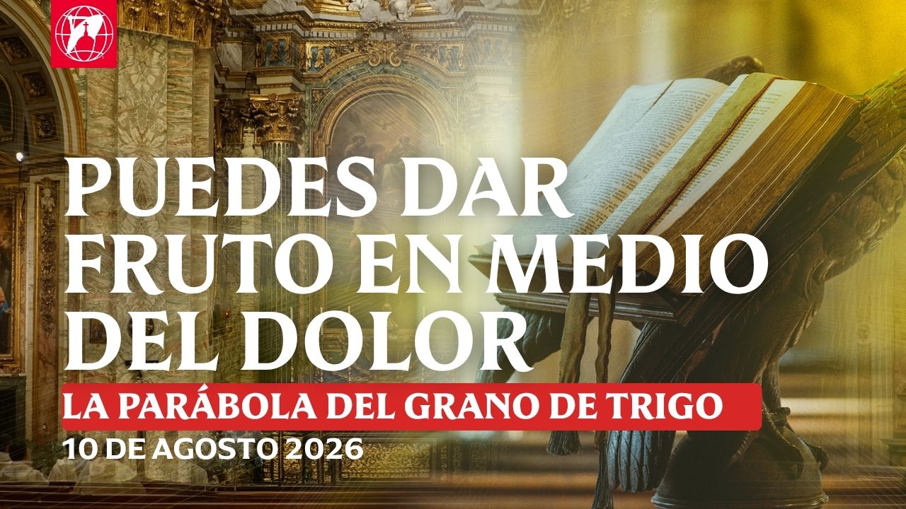 Lecturas, homilía y Misa diaria Lecturas y homilía: Diác. Robert