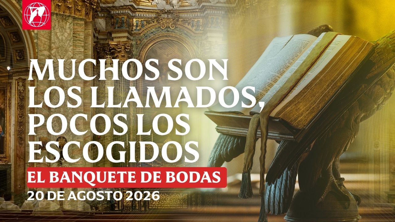 Lecturas, homilía y Misa diaria Lecturas y homilía: P. Jovin Sequeira