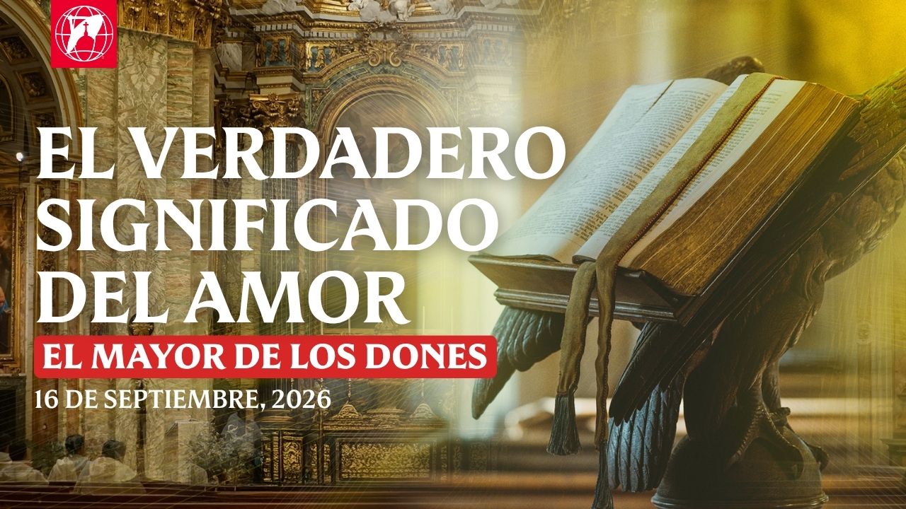 Lecturas, homilía y Misa diaria Lecturas y homilía: P. Matthew
